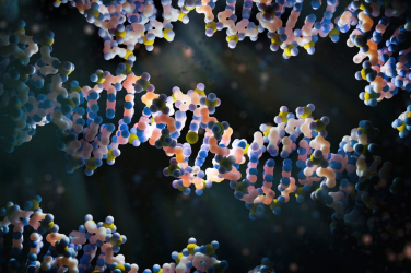 OriGen Health Research Center will be the first research center to leverage Latin America’s largest biobank, alongside leading machine learning tools and a broad base of experts from the two universities. 